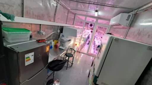 Primer laboratorio: La antesala del hatchery, ya con equipos propios.
